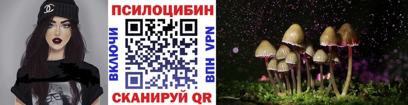 Галлюциногенные грибы мицелий купить наркотик Тейково